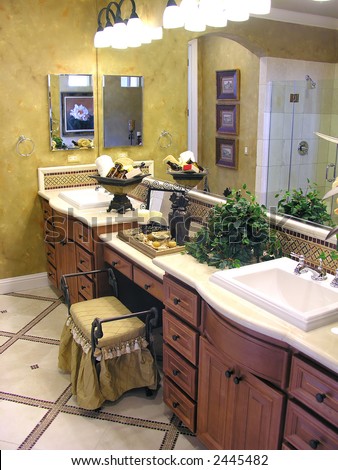 A elegant bathroom interior inside an upscale home