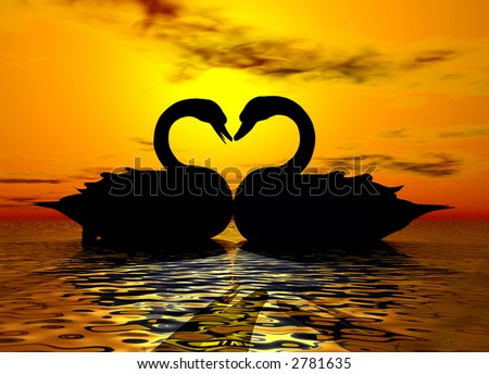 stock%20photo%20:%20Two%20swans%20forming%20a%20heart%20under%20the%20sunset