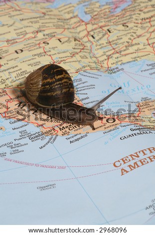 A snail crawling over a map, conceptual travel image