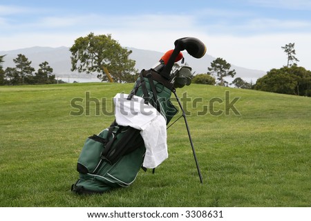 A golf bag with gold clubs on a beautiful golf course
