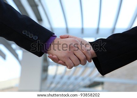 A man and woman handshake to conclude a successful business deal