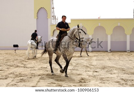 SAKHIR, BAHRAIN - MARCH 23: Horses of Royal Andalusian School of Equestrian performs on March 23, 2012 in Bahrain International Endurance Village, Sakhir during the Bahrain Animal Production Show 2012