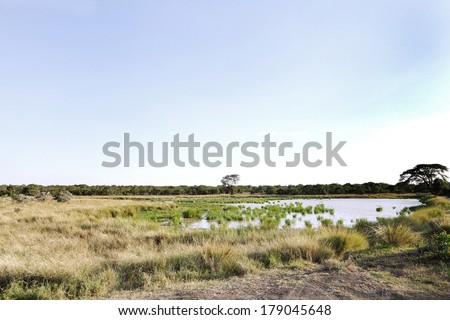 Marshy area and water hole in the grassland of Ol Pejeta Conservancy, Kenya