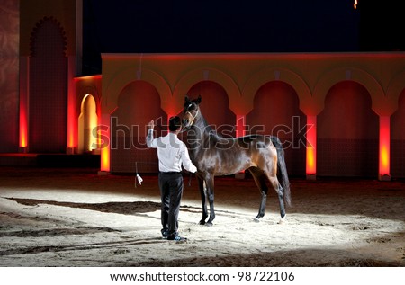 SAKHIR, BAHRAIN - MARCH 26: Horses of Royal Andalusian School of Equestrian Art performs on March 26, 2012 in Bahrain International Endurance Village during the Bahrain Animal Production Show 2012