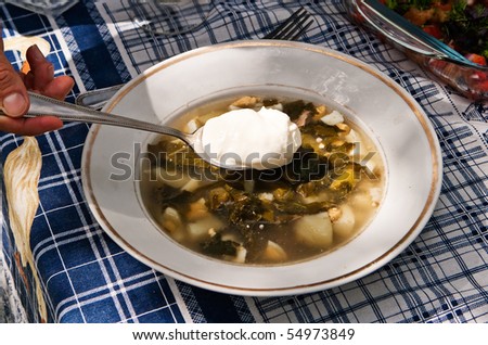 Green soup with sour cream