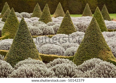 House Plants Trees. grey plants at Ham House