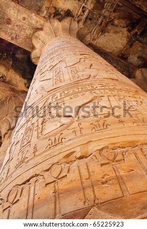 A sandstone column at the Temple of Edfu in Egypt showing the ancient carvings