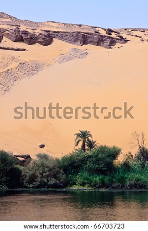 A vertical landscape of an area of the Sahara desert which meets the shore of the river Nile.