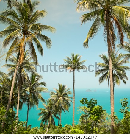 View of nice tropical background with coconut palms. Thailand