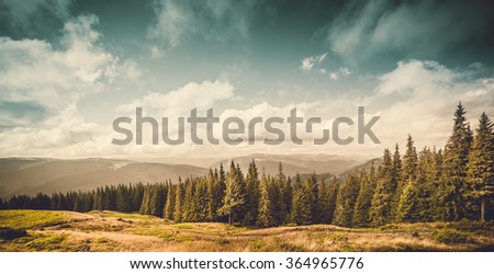 summer landscape. mountain path with forest on the blue sky background. Panorama