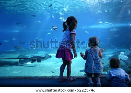A Day at the Maui Aquarium