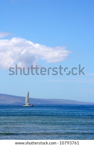 whale watching in hawaii. Whale+watching+catamaran+