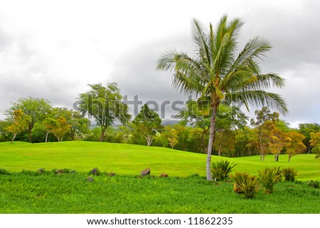 Pro golf course fairway with blue sky, palm trees and clouds on Maui, Hawaii