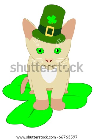 Leprechaun Cat Pictures