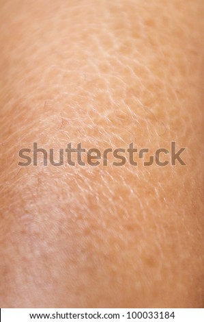 close up shot of dry and cracked skin textures on legs.