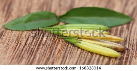 Ayurvedic Medicinal Chirata leaves with pods on wooden surface