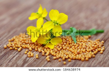 Mustard flowers with seeds on wooden surface