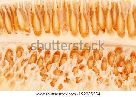 Background of Muskmelon seeds
