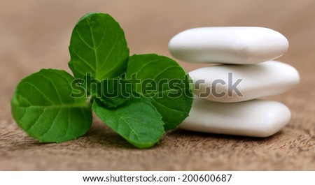 Chewing gum with mint leaves