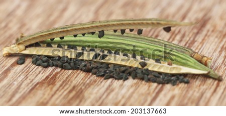 Jute seeds with pods on textured surface