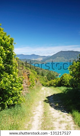 Trekking in Marlborough Sounds - extensive network of sea-drowned valleys created by a combination of land subsidence and rising sea levels at the north of the South Island of New Zealand.