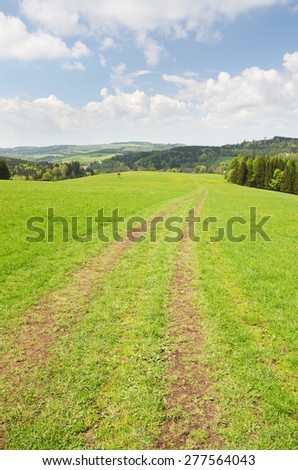 Country road in the field in Orlic mountains (czech: Orlicke hory), Czech republic