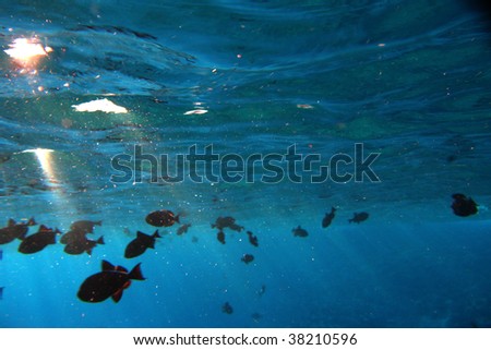 Underwater and rays of light