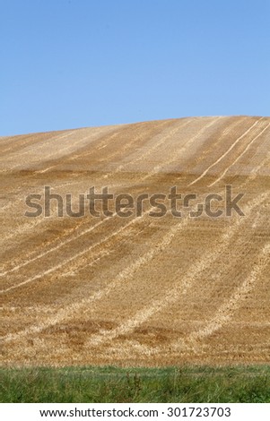 Fields of South West of France