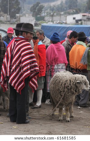 SAQISILI, ECUADOR - AUGUST 5: A farmer in traditional clothes sells his sheep in the cattle market on August 5, 2010 in SAQISILI, Ecuador. This is the biggest Indian market of South America,