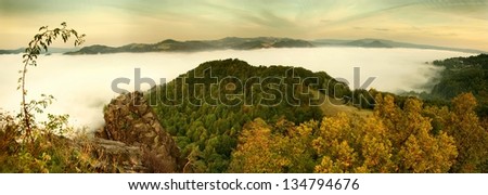 Autumn landscape, colorful leaves on trees, morning after rainy night.