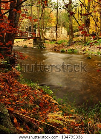 Autumn landscape, colorful leaves on trees, morning at river after rainy night.