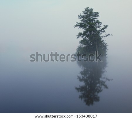Night view to island with tree above water hidden in fog. Full moon behind of peak of the tree. Mist is moving above water level.