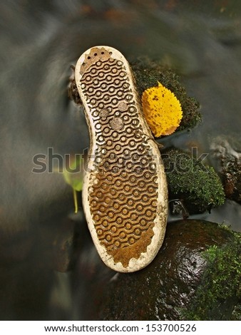 Aspen leaf on old shoe sole in blurred clear water of mountain river, autumn colors.Garbage or rubbish in nature.