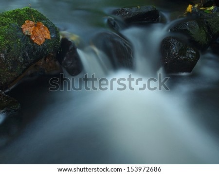 The first colorful leaf from maple tree on basalt mossy stones in blurred water of mountain rapids stream.