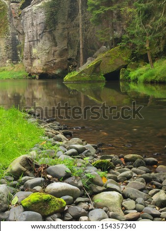 View into deep sandstone gulch with clear water of mountain river. Clear blurred water with reflections. Valley covered beeches and maple trees with first colorful leaves, fresh green fern.