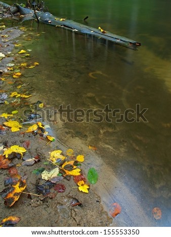 Basalt stones and gravel on river bank of mountain river covered by colorful leaves from maple, aspen and wild cherry trees.