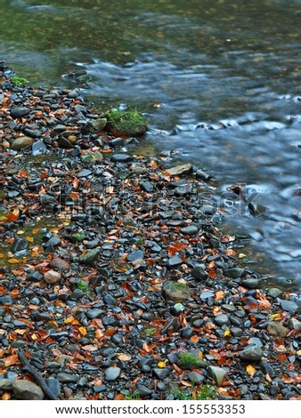 Basalt stones and gravel on river bank of mountain river covered by colorful leaves from maple, aspen and wild cherry trees.