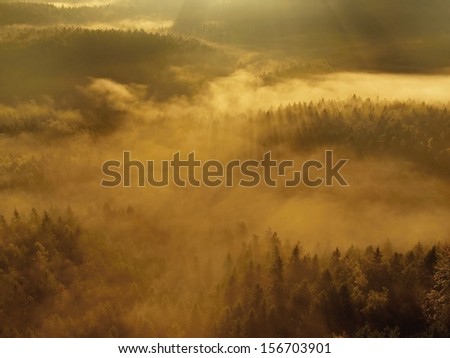 Golden sunrise in a beautiful mountain of Saxony Switzerland. Sandstone peaks increased from gold foggy background, the fog is yellow-orange gold due to first strong sun rays.