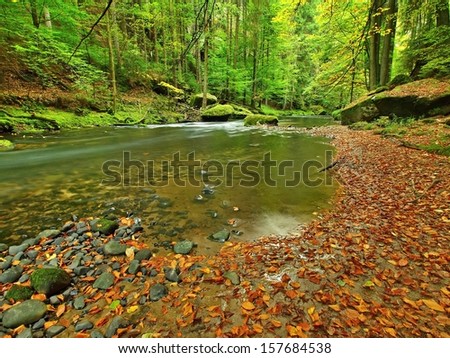 Gravel on river bank of mountain river covered by orange beech leaves. Fresh green leaves on branches above water make green reflection in level