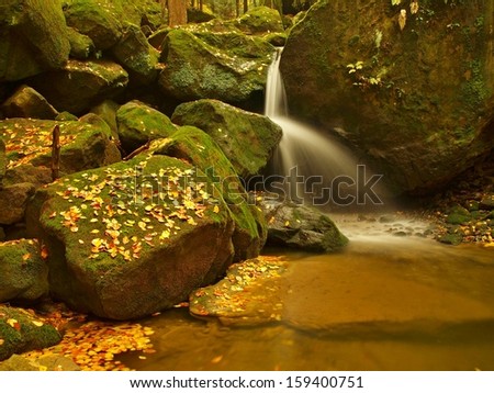 Small waterfall full of water after rain. Colorful leaves from maple tree, wild cherry and birch laying on wet sandstone boulders. Mossy stones and colorful autumn leaves