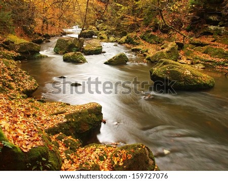 View into autumn mountain river with blurred waves,, fresh green mossy stones and boulders on river bank covered with colorful leaves from maples, beeches or aspens tree.