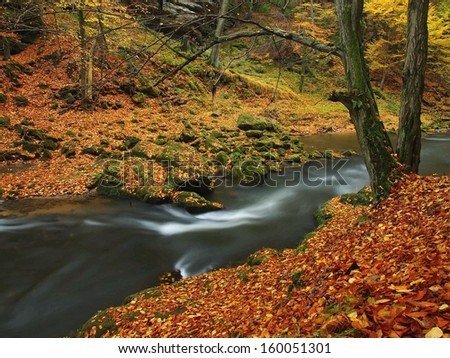 Autumn mountain river with blurred waves, fresh green mossy stones and boulders on river bank covered with colorful leaves from maples, beeches or aspens tree.
