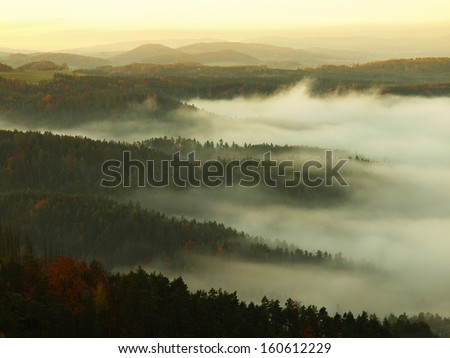 View into foggy gulch below view point in Bohemian Saxony Switzerland.  The fog is moving between hills and peaks of trees and makes with sun rays gentle reflections.