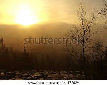 Hills increased from daybreak autumn foggy background. First sun rays. The sun rays colored mist to orange and yellow.
