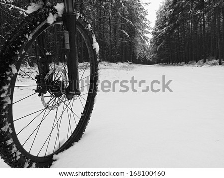 The front wheel of mountain bike in the first snow. Dark foggy weather in the forest. Melted snow flakes on tyre, frame and disk break.