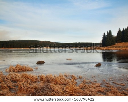 Winter view over lake with thin blue ice to opposite bank. Dry old stalks of grass and reeds on the bank, dark blue and green needles tree, naked leaves tree.