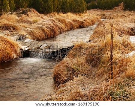 Mountain stream at beginning of winter time, old orange dry grass on both banks, ice on boulders and stone in the water.