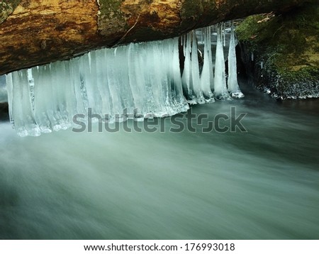 Dark cold water of mountain stream in winter time, long thin icicles are hanging on fallen trunk above milky water level.