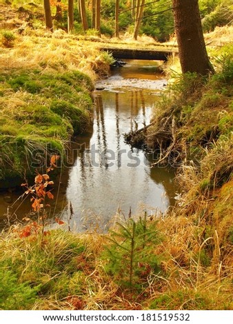 Mountain stream in forest between banks with old dry grass, small wooden bridge. Reflection of sky in water level.