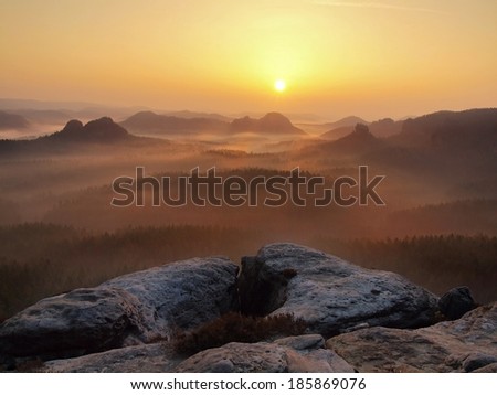 Cold misty sunrise in a beautiful valley of Saxony Switzerland park. Sandstone peaks increased from fog, the fog is colored to blue, gold and orange.